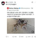 좋아요 66000개 받은 한국인 트윗.jpg