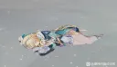 원신] '로노바 이사, 이거 수습 가능 한가?'