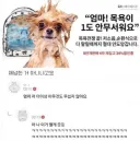 보닌이 3일 연휴 후 출근이 두렵지 않은 이유