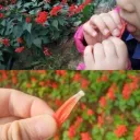 생전 처음 보는 행위 .jpg