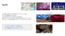 버튜버) 후부키 라이브 설정 상세한 거 봐