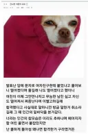 공시생 커플의 최후 썰.txt