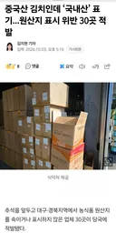 중국산 김치인데 국내산 표기