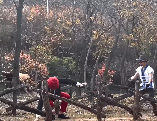 킹오파 신작 근황 !!!!!