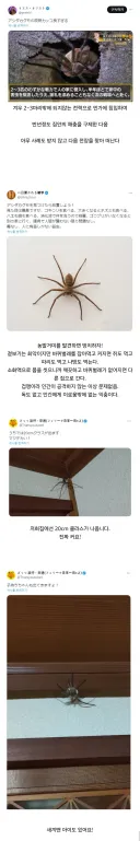동거 가능 or 불가능