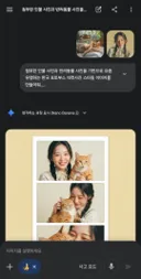 제미나이 나노바나나2로 반려동물과 함께 찍은 것 같은 자연스러운 네컷사진과 동영상 만들기.Gemini