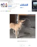이거 살짝 죄책감 느껴지네