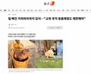 탈모 카피바라 만지고 음식 주고…'체험교육' 이름의 동물학대 여전