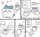 먼작귀]이거 그거 아님?