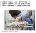 정부) 수입 계란 한판 39,000원 들여와 5천원에 판매.