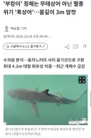 부산 관종 암컷