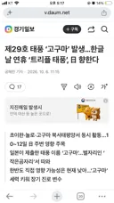 태풍 고구마 발생