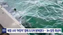 ??? : 뭐? 부캉이가 '암컷' 흑상어였다고??
