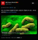 페스트균 시험관 깨졌다' '연구원 사망' 러 국경 '초비상'