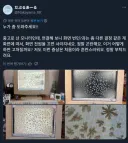 살면서 처음보는 모니터 고장현상
