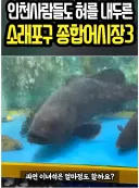 350만원 생선 등장.jpg