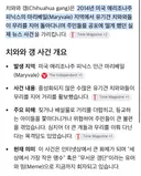 치와와 갱스터들 때문에 공포에 떠는 주민들