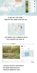 세계희귀동물 복원 근황???