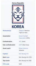 축구) 韓대표팀 소개간판에 박제된 손흥민
