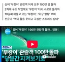 상어 '부캉이' 100만 관람객 돌파...당분간 추가 구조 없이 지켜보기로