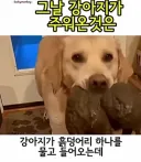 특이점이 온 유튜브 ai 쇼츠