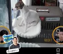 강형욱도 모르는 반려용품이?