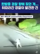 한밤중 경찰 향해 짖던 개