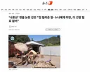 '나혼산' 연출 논란 김민