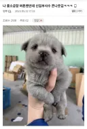 중소기업 생산직 S급 부사수