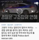 몇년전 활동하던 미치광이 유튜버