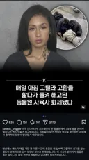 매일 아침 고릴라 고환 핥다가 해고된 사육사