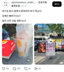 버거킹 본사 앞에서 롯데리아 먹방