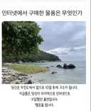 인터넷에서 구입한 물건은?