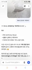 챗지피티 말투가 왜 이럴까요?