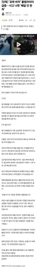 '유학 비자' 불법라이더 급증…사고 나면 '배달 안 한 척'