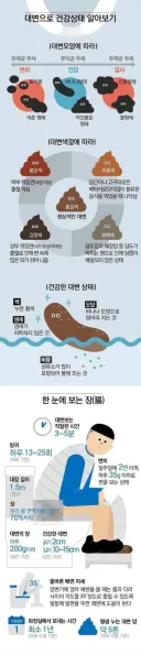 아침에 보기 좋은 대변으로 보는 건강상태.jpg