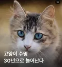 인간보다 특이점 먼저 맞이한 동물들, 수명연장약 내년 발매.jpg