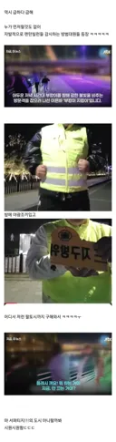 랜턴 빛에 다쳤다는 북항 상어, 부산식 결말
