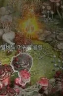 알4구 불취약 인증