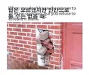 교양없는 부모님 고치는 방법 달글..