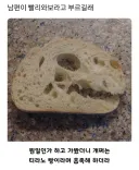 남편이 빨리 와보라고 부른 이유