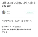 애플 OLED 아이패드 미니, 디플 주사율 관련