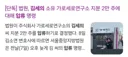 김세의 가로세로연구소 완전히 빼앗김