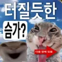 요즘 쩡인지 취향이 이상해짐