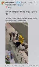 피카츄의 쿠로미 폭행 현장 포착