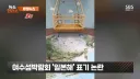 또 하나 터진 여수 섬 박람회 근황.jpg