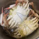 스팀 찜 해놓은 게임