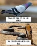 불교 경전에 적혀있는 '죄 지었을때 다음생에 태어나게 될 동물'