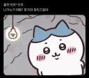 치이카와) 하치와레 근황