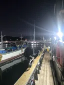 오늘 강원도 바다의 대구의 씨를 말리겠다